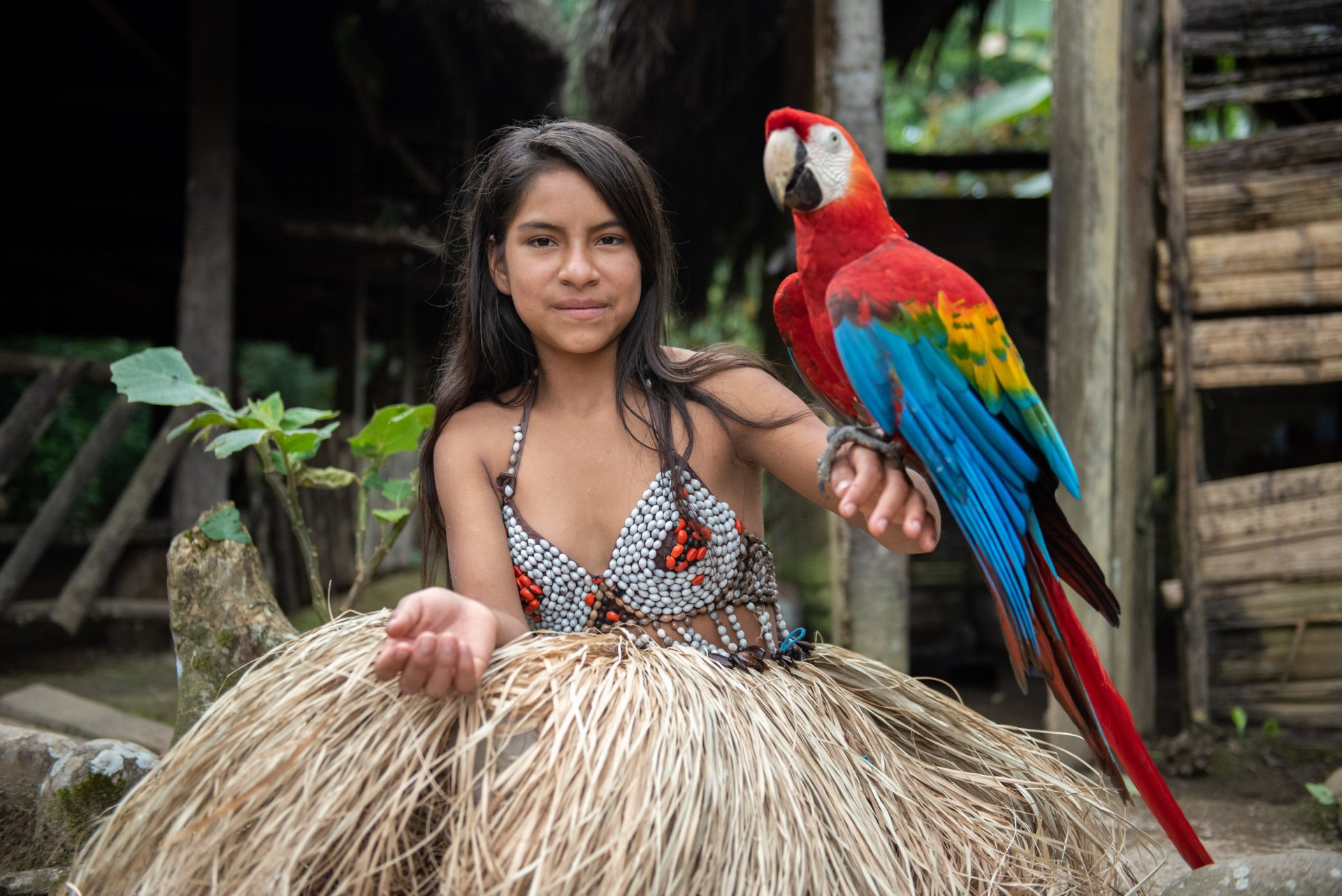 Vive la Magia de un día en la Amazonía Ecuatoriana