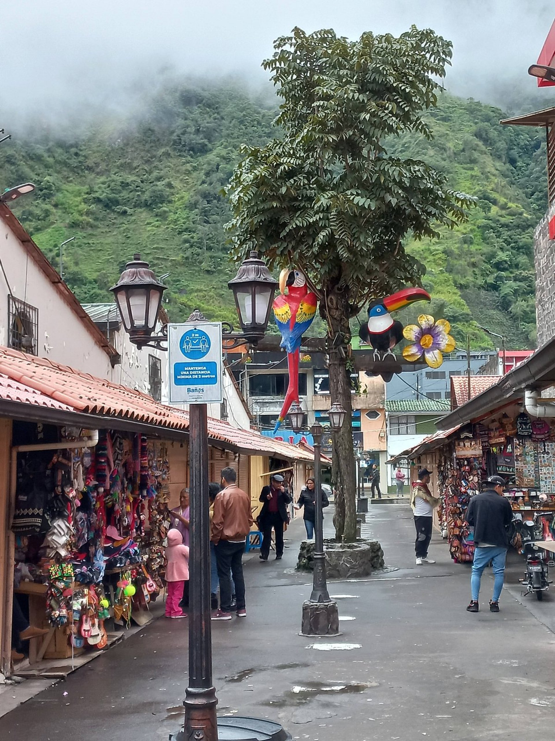 The Best Souvenir Shops in Baños