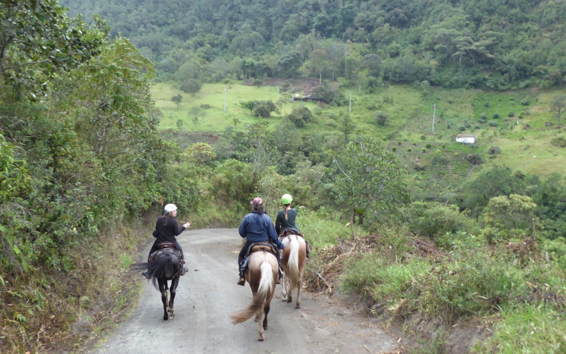 Foto Baños de Agua Santa with kids - adventure and nature experiences for the whole family