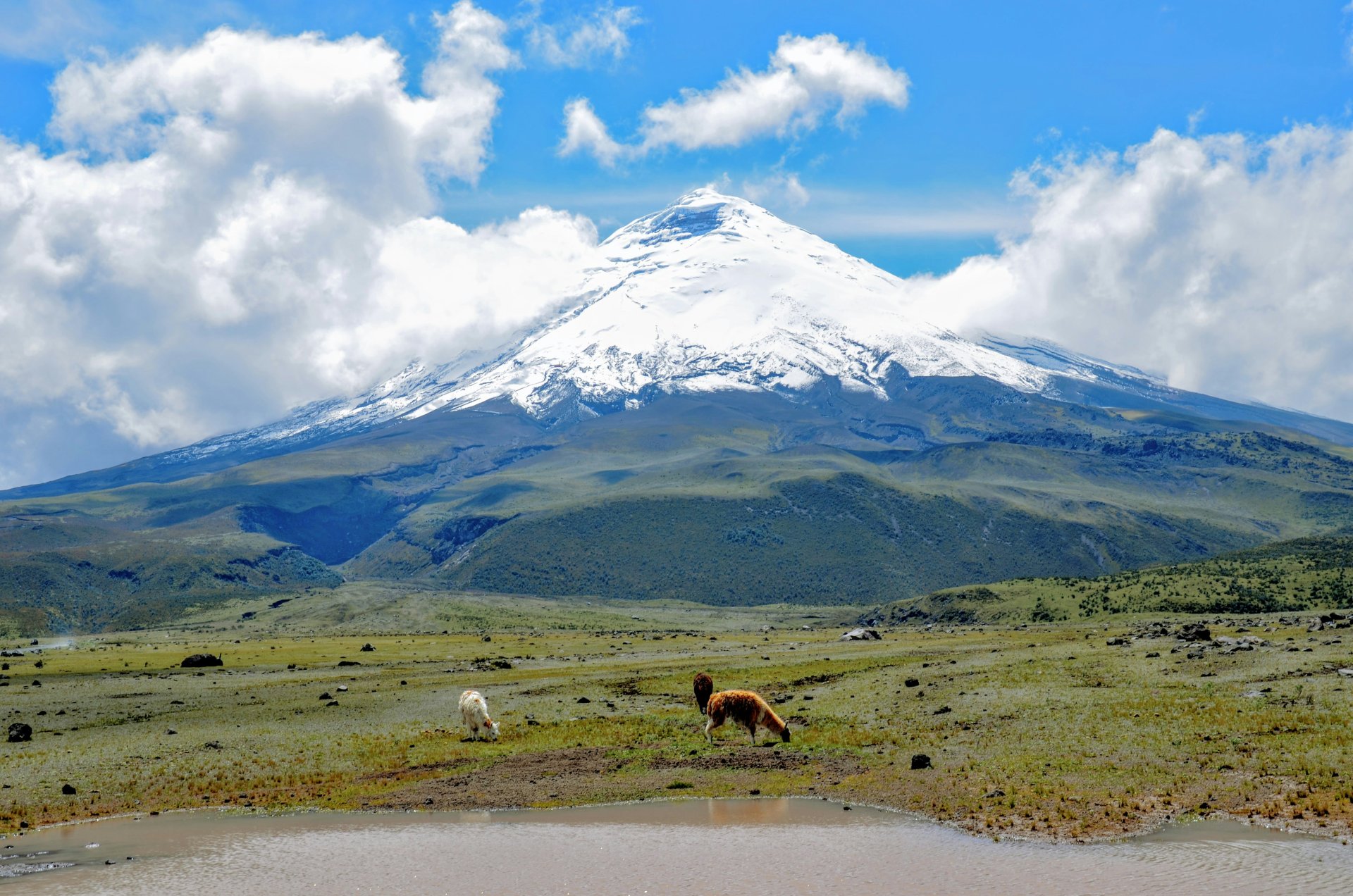 Foto De Baños a Quito: parada en Quilotoa o Cotopaxi: experiencia y transporte en uno