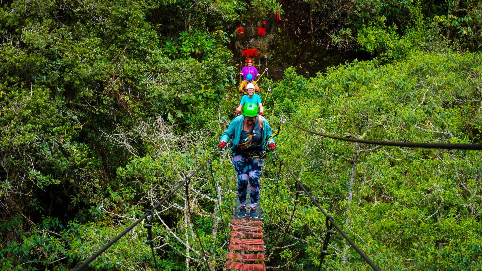 Canopy