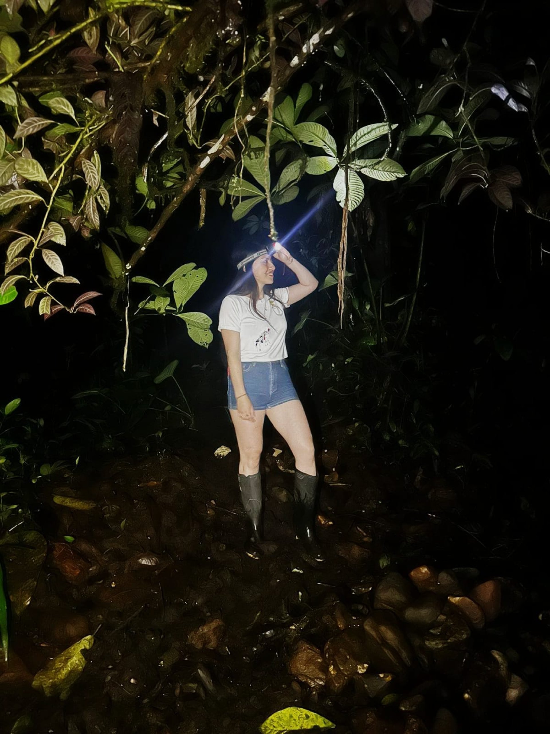Cedro Amazon Lodge