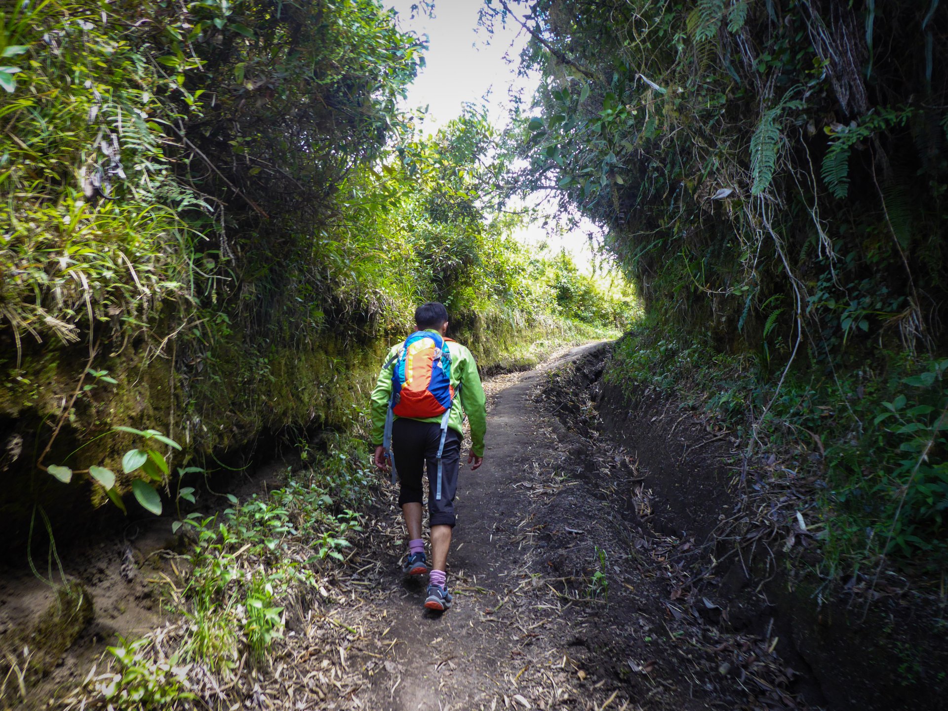 Tungurahua, Tour de un día completo