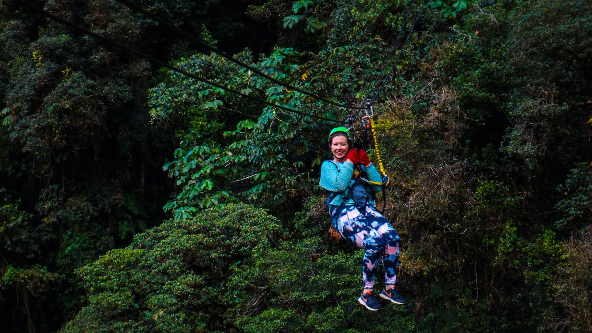 Canopy