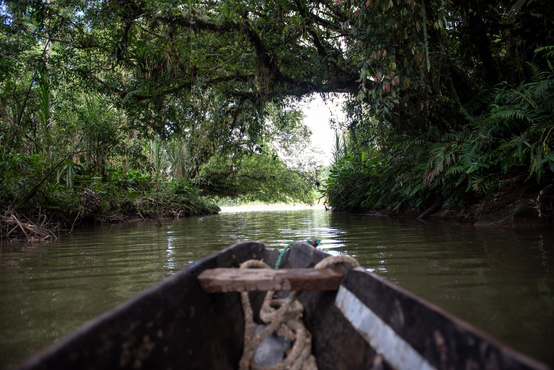 Tour de 4 días y 3 noches en la Amazonía
