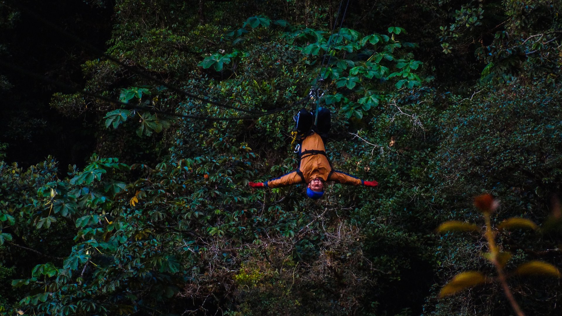 Canopy