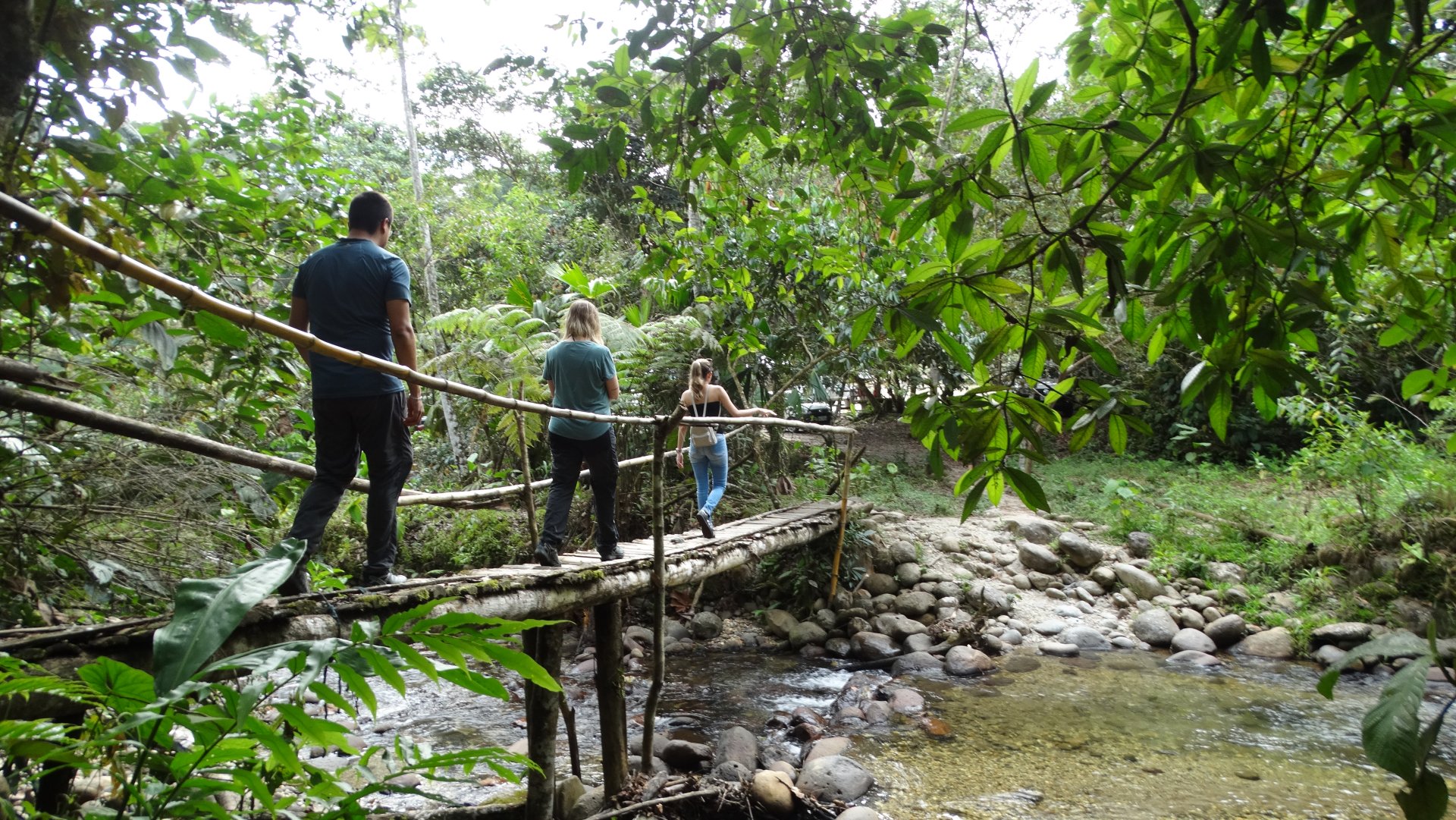 Tour de 4 días y 3 noches en la Amazonía