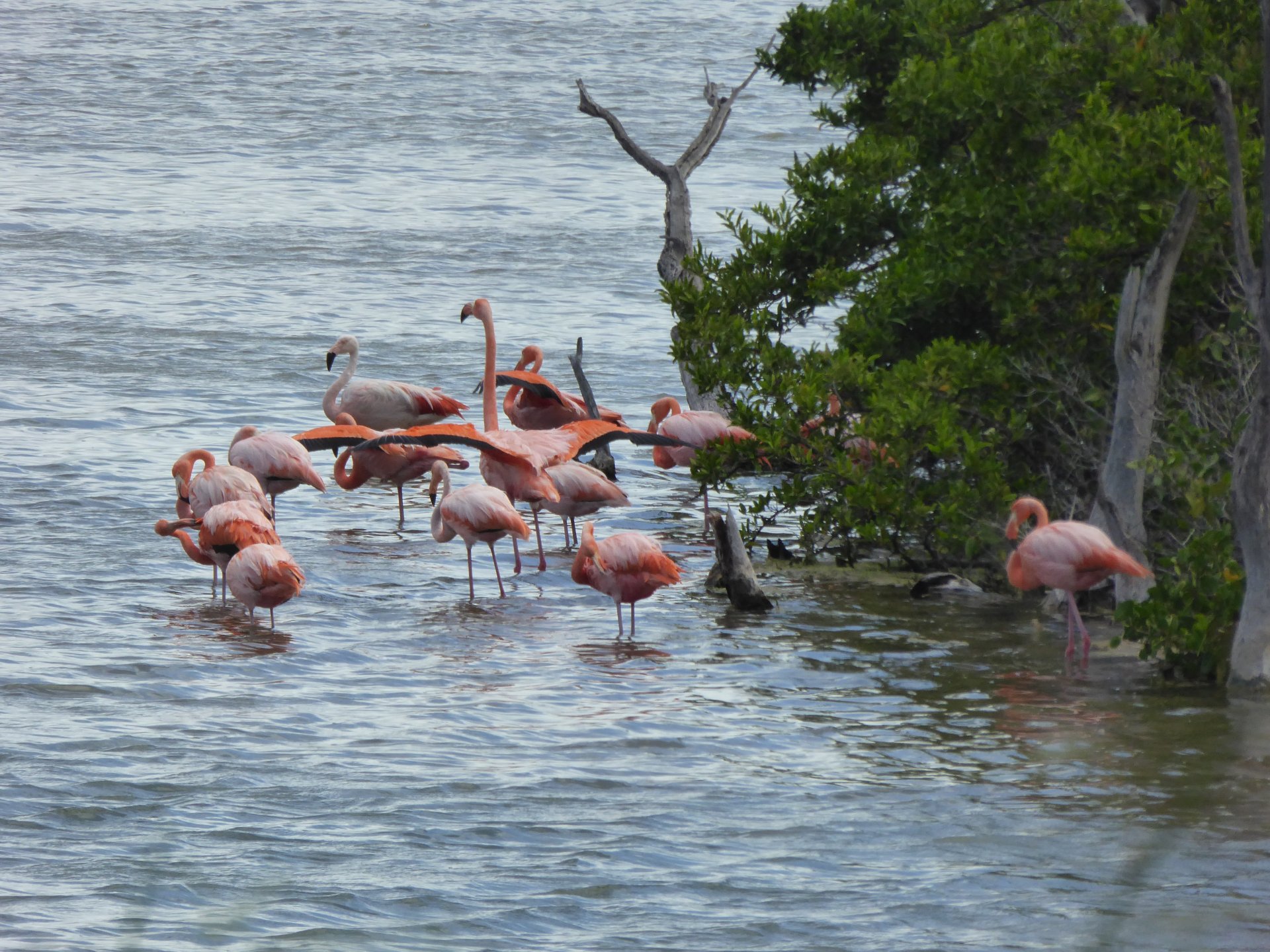 Galápagos, Tour de 5 días