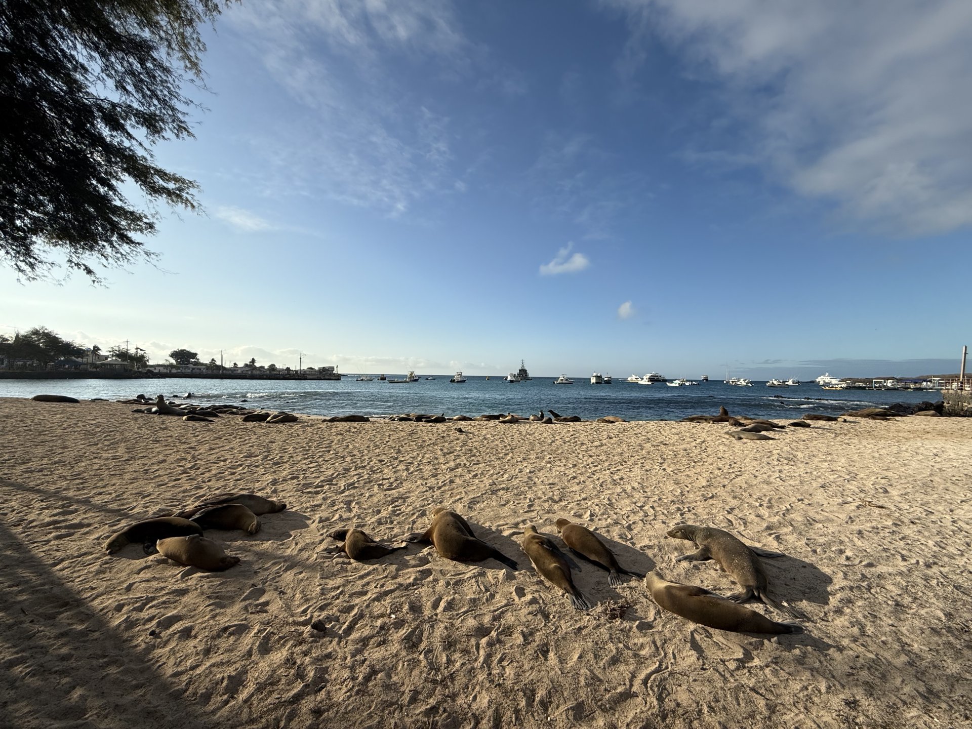 Galapagos, 6 days tour