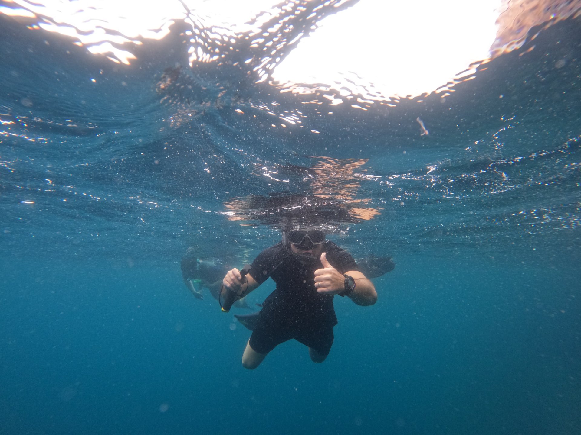 Galapagos, 6 days tour