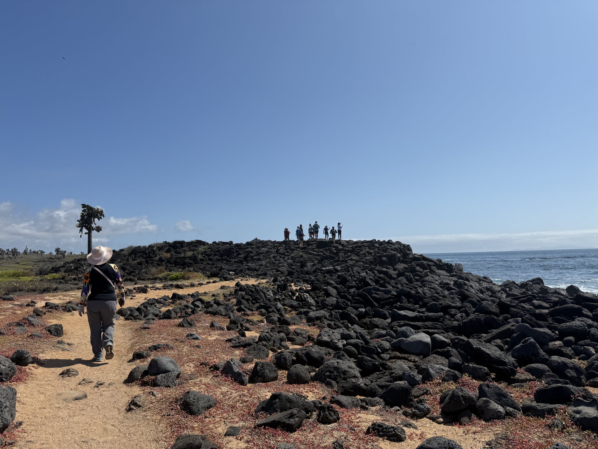 Galápagos, Tour de 5 días