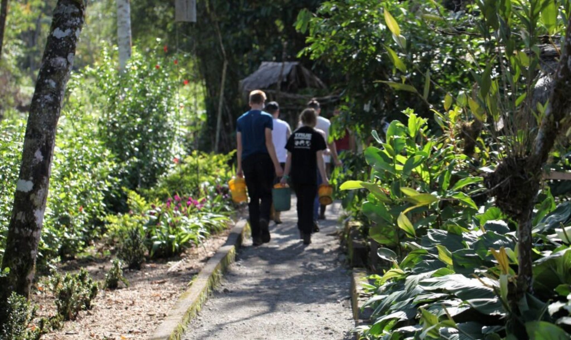 Volunteer program at the YanaCocha Wildlife Rescue Center