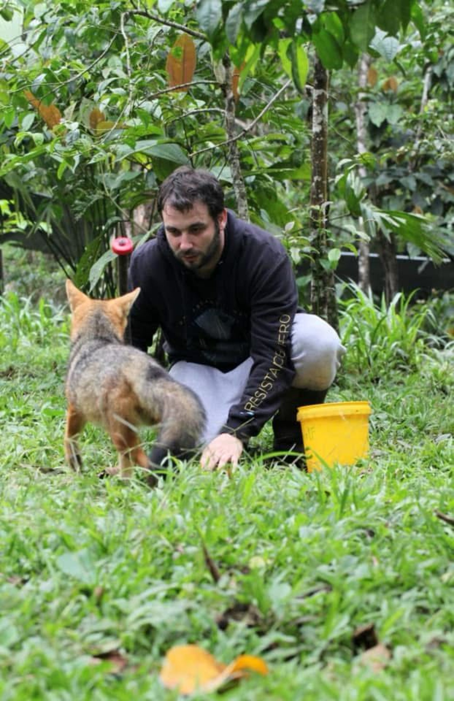 Volunteer program at the YanaCocha Wildlife Rescue Center