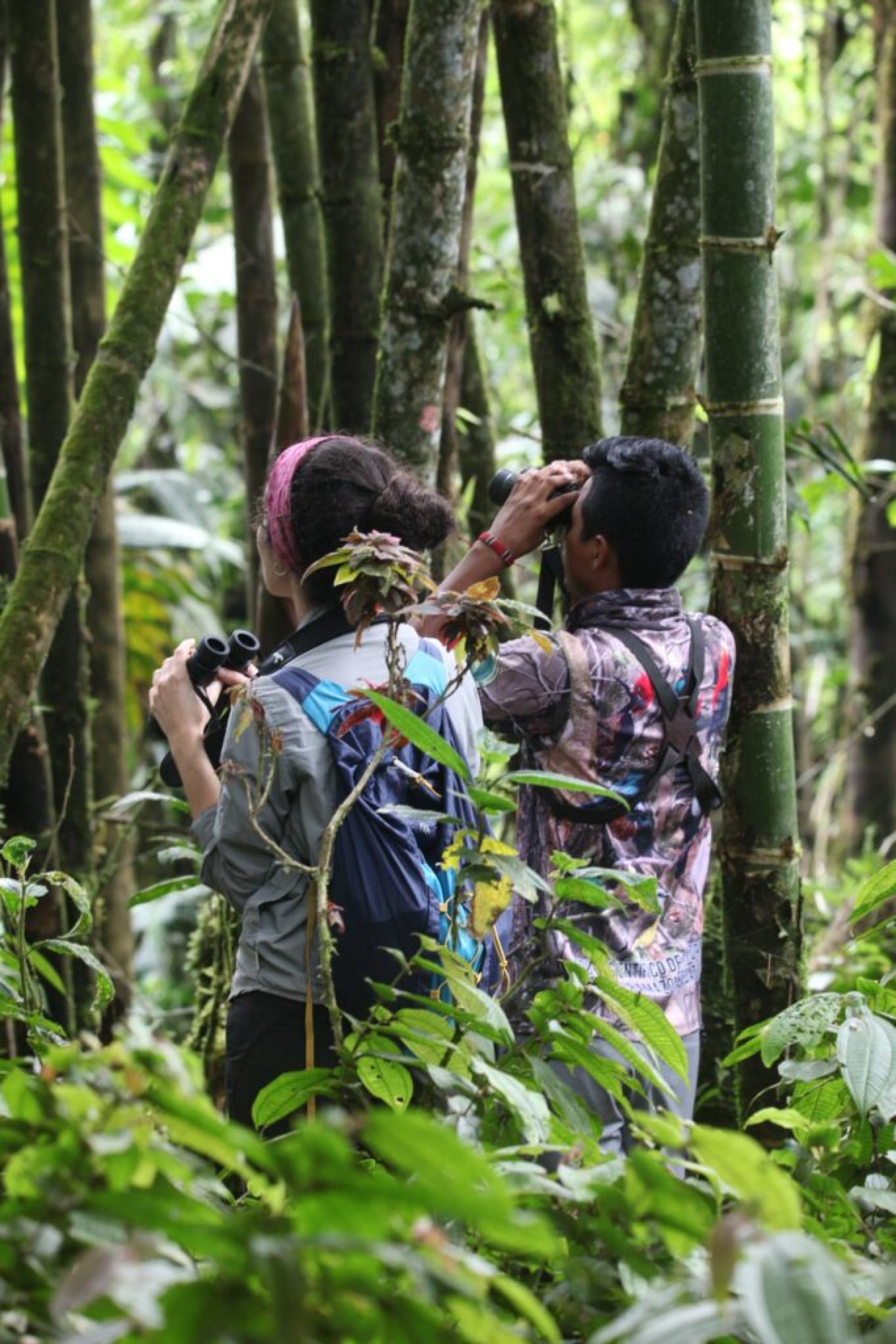 Volunteer program at the YanaCocha Wildlife Rescue Center